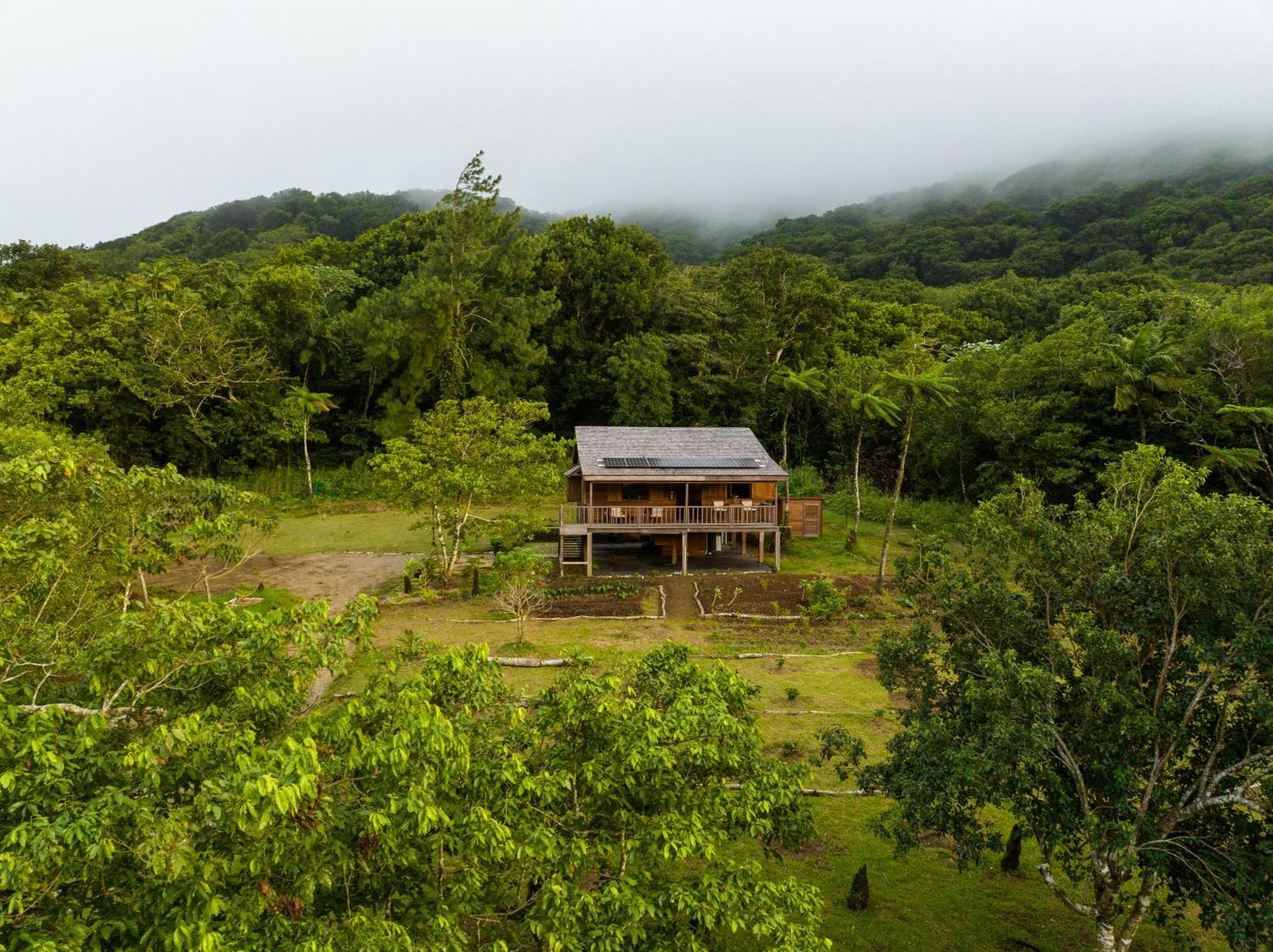 Villa Liamuiga Romneys Экстерьер фото