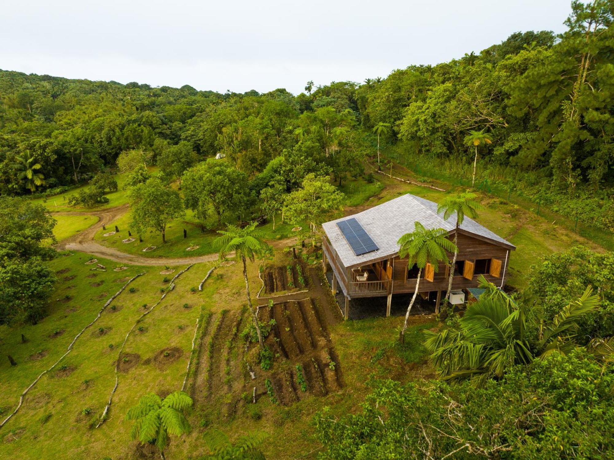 Villa Liamuiga Romneys Экстерьер фото